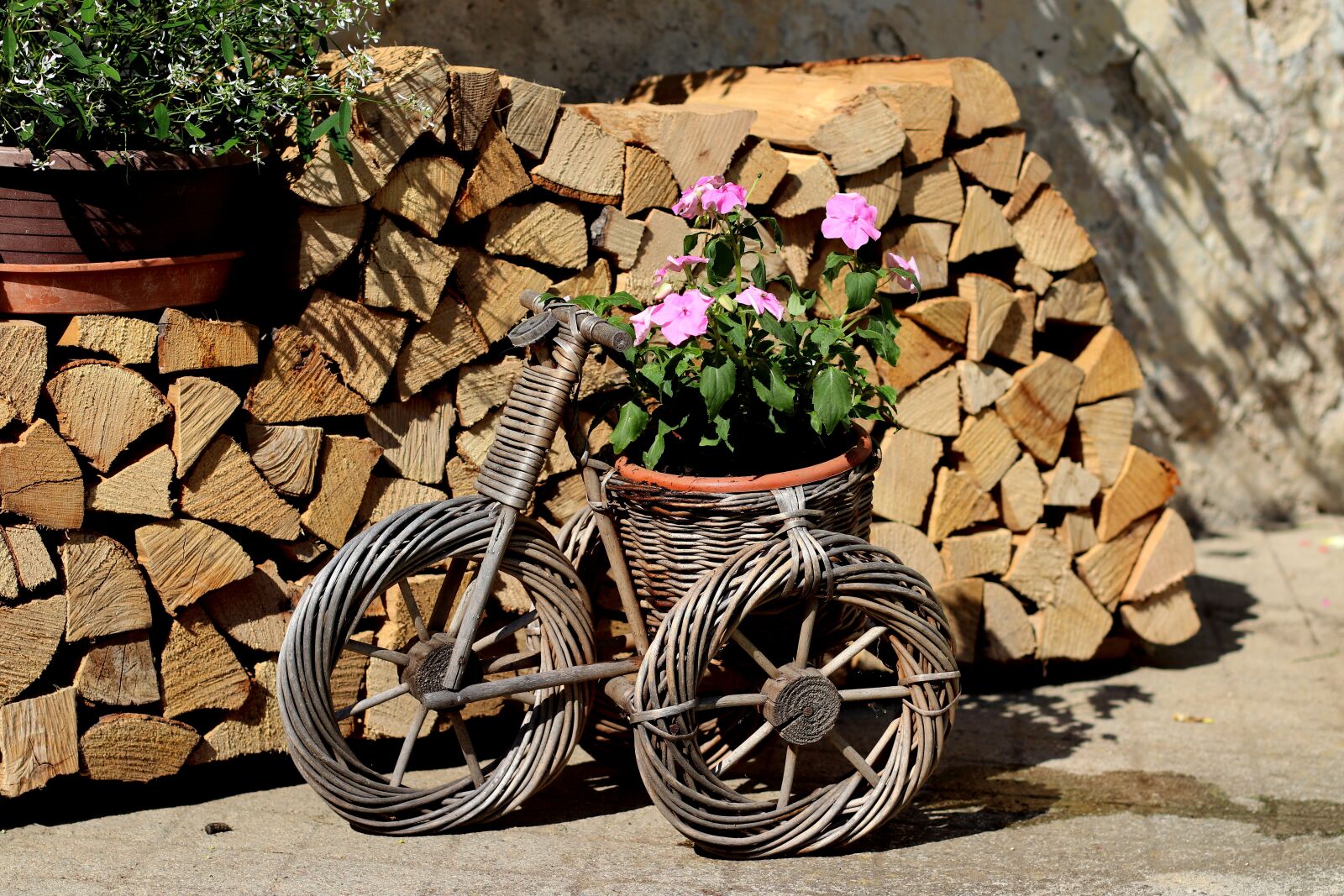Canon EF 50mm F1.4 USM sample photo. Garden design, flowers, wood photography
