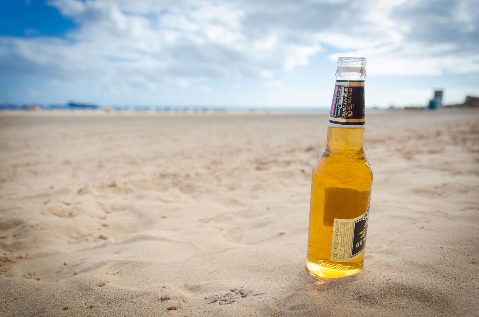 Nikon AF-S DX Nikkor 18-70mm F3.5-4.5G ED-IF sample photo. Beach, beer, canaries, canary photography