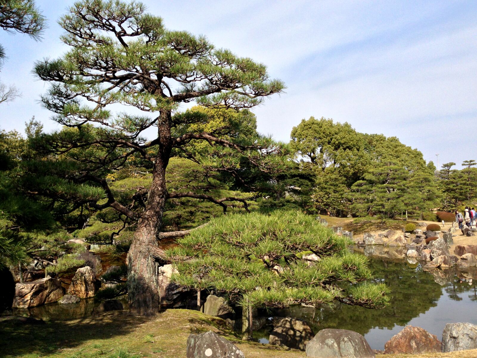Apple iPhone 5 sample photo. Japan, tree, nature photography