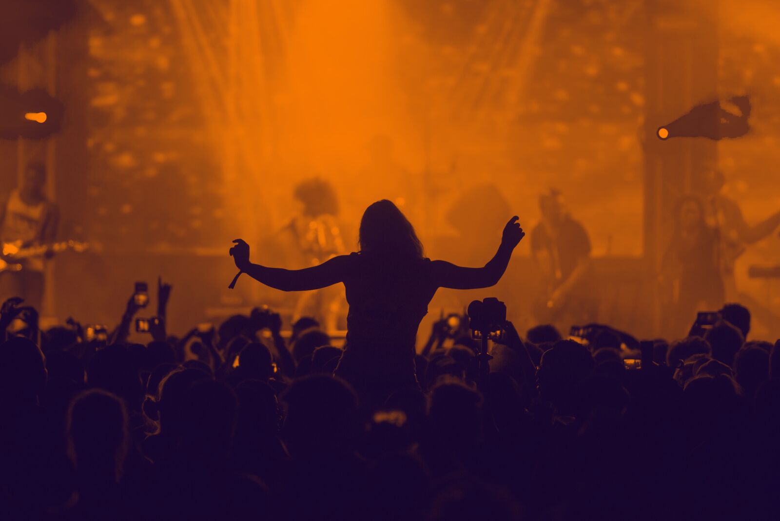 Nikon D610 sample photo. Music, silhouette, concert photography