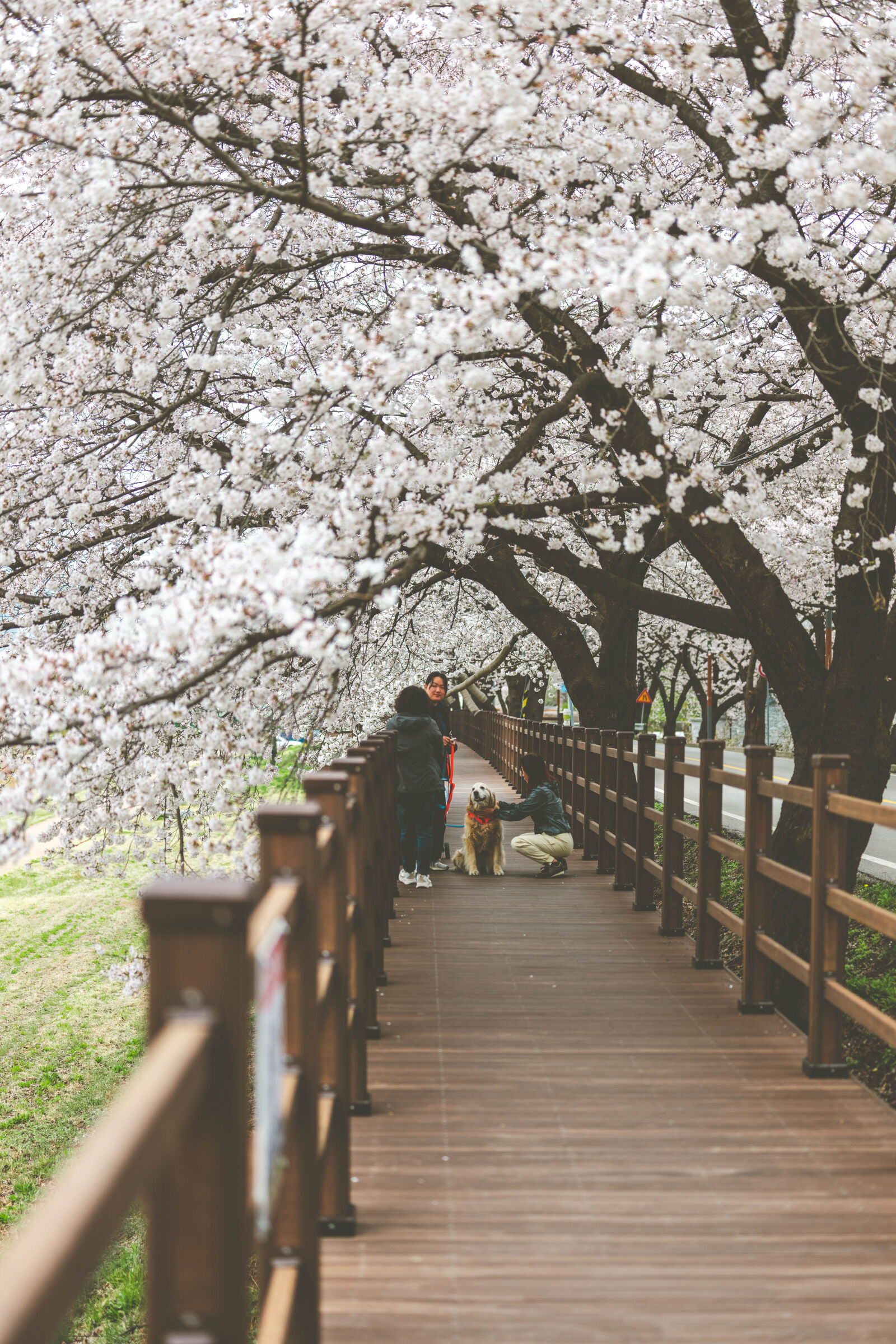 Nikon Z8 sample photo
