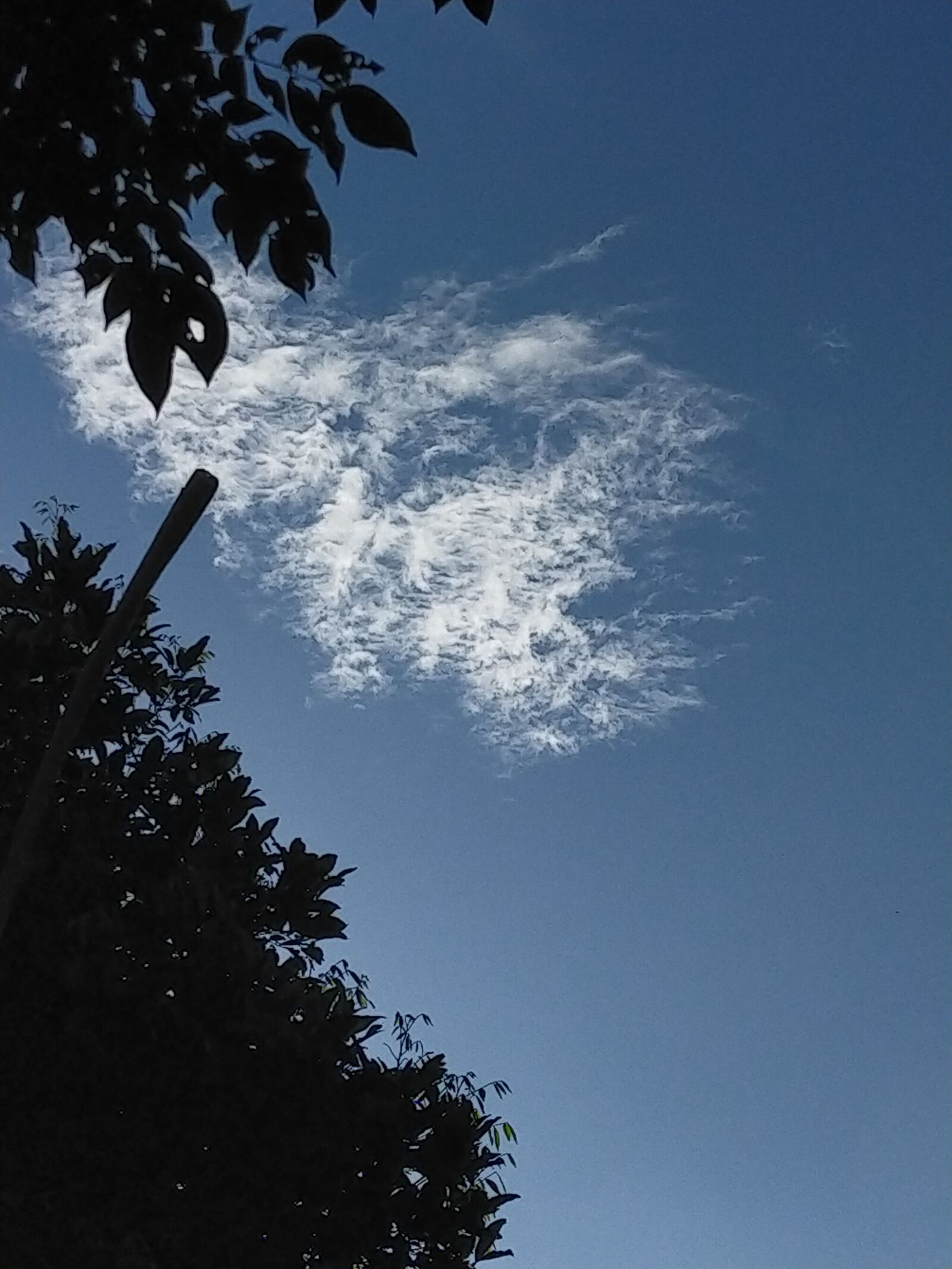 OPPO A9 2020 sample photo. The sky, cloud, blue photography