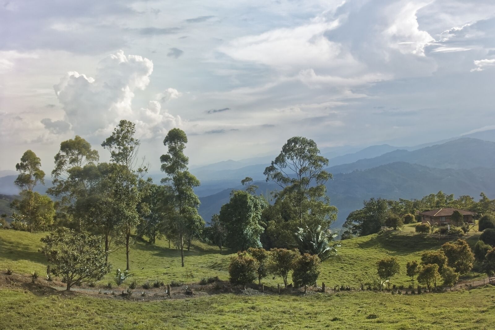 Nikon D500 sample photo. Colombia, landscape, mountains photography