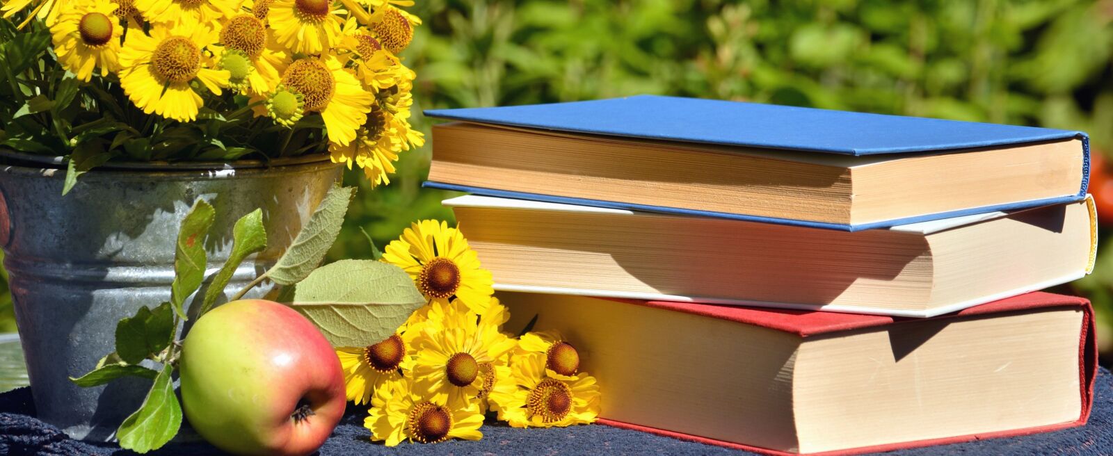 Nikon D5200 sample photo. Book, flower, apple, glass photography