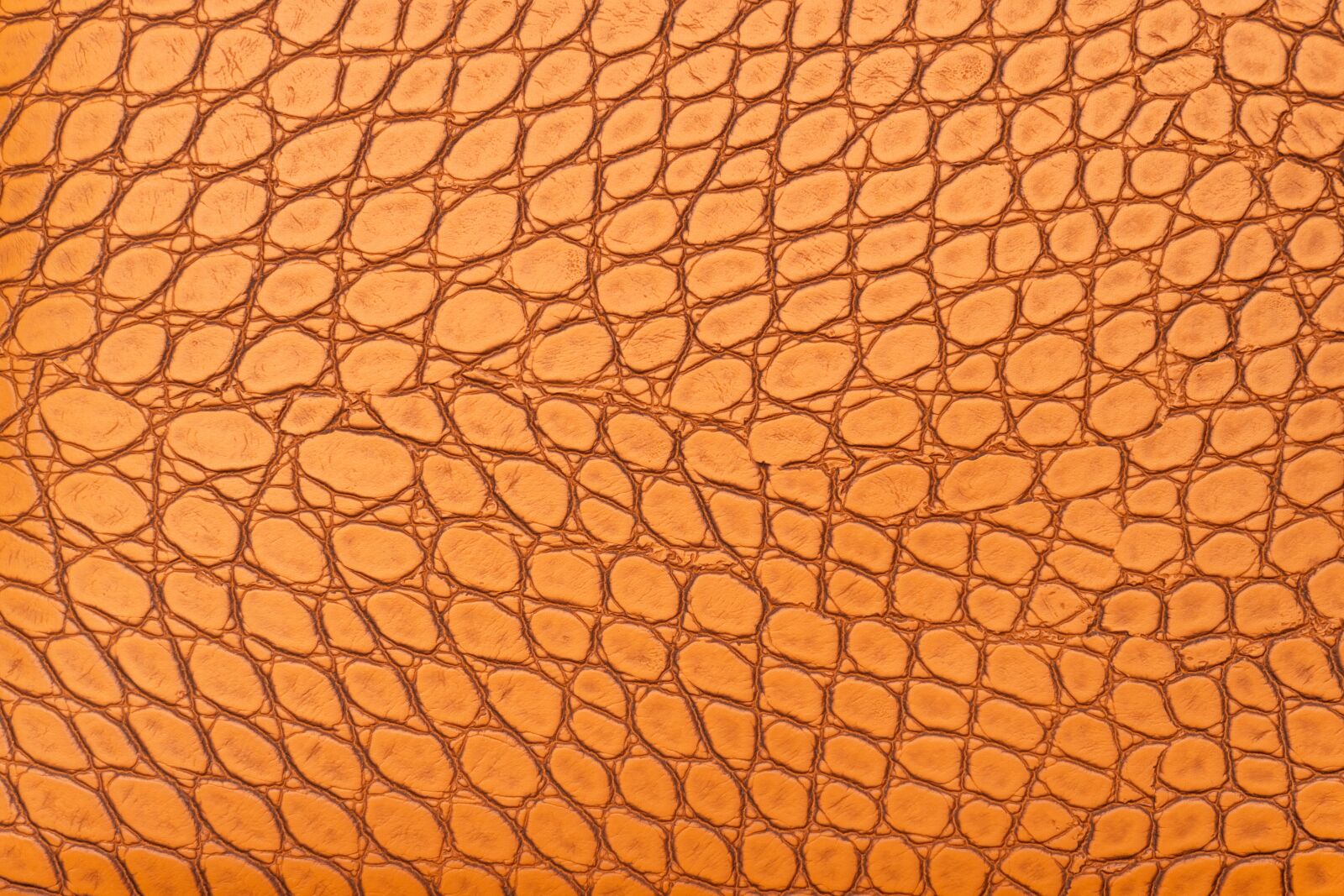 Sony a6400 sample photo. Abstract, textured, texture photography