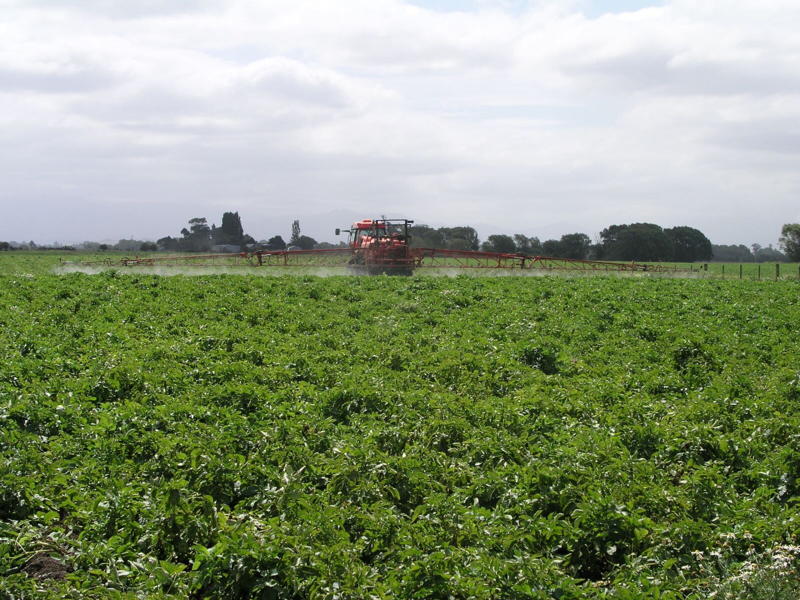 Olympus C5050Z sample photo. Agriculture, spray, ground photography
