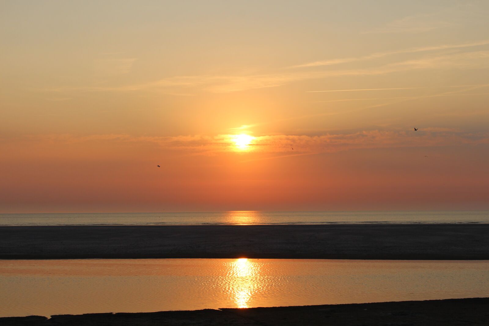 Canon EOS 700D (EOS Rebel T5i / EOS Kiss X7i) sample photo. Sunset, langeoog, north sea photography
