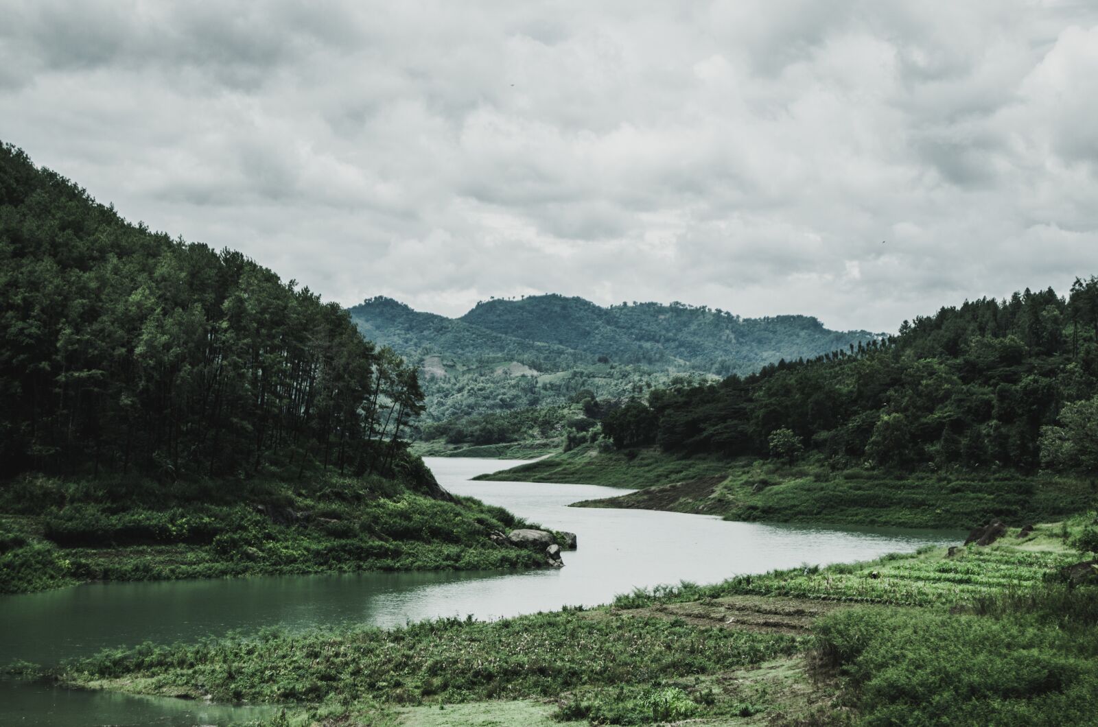 Nikon D5100 sample photo. Valley, river, forest photography