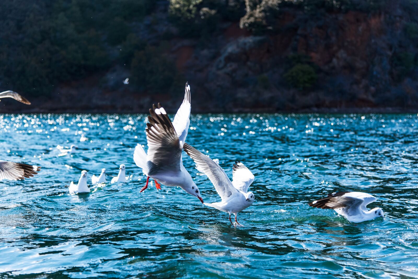 Nikon D750 sample photo. Lugu lake, china, in photography