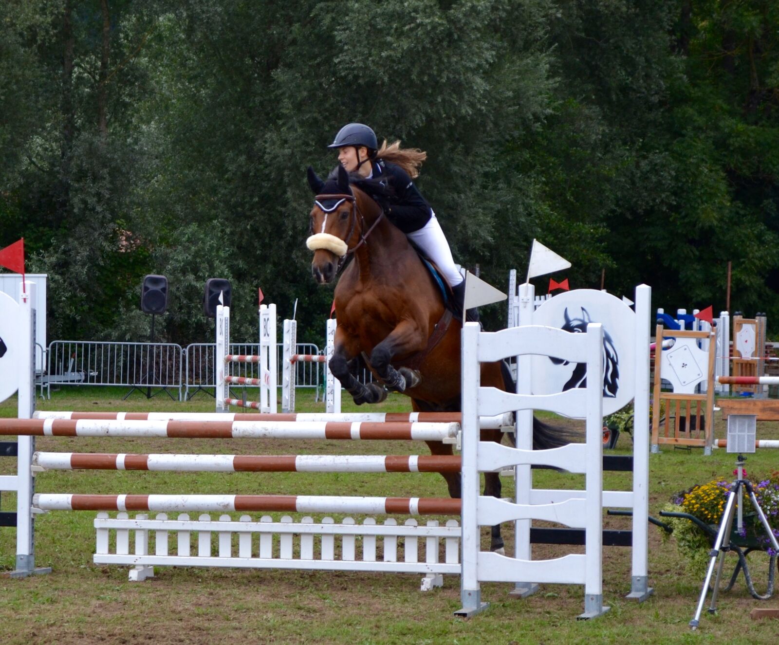 Nikon D3100 sample photo. Horse, theme, movement photography