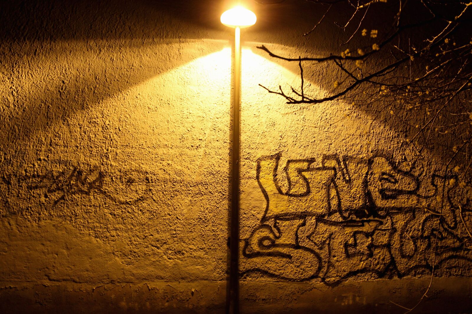 Canon EOS 600D (Rebel EOS T3i / EOS Kiss X5) sample photo. Graffiti, facade, wall photography