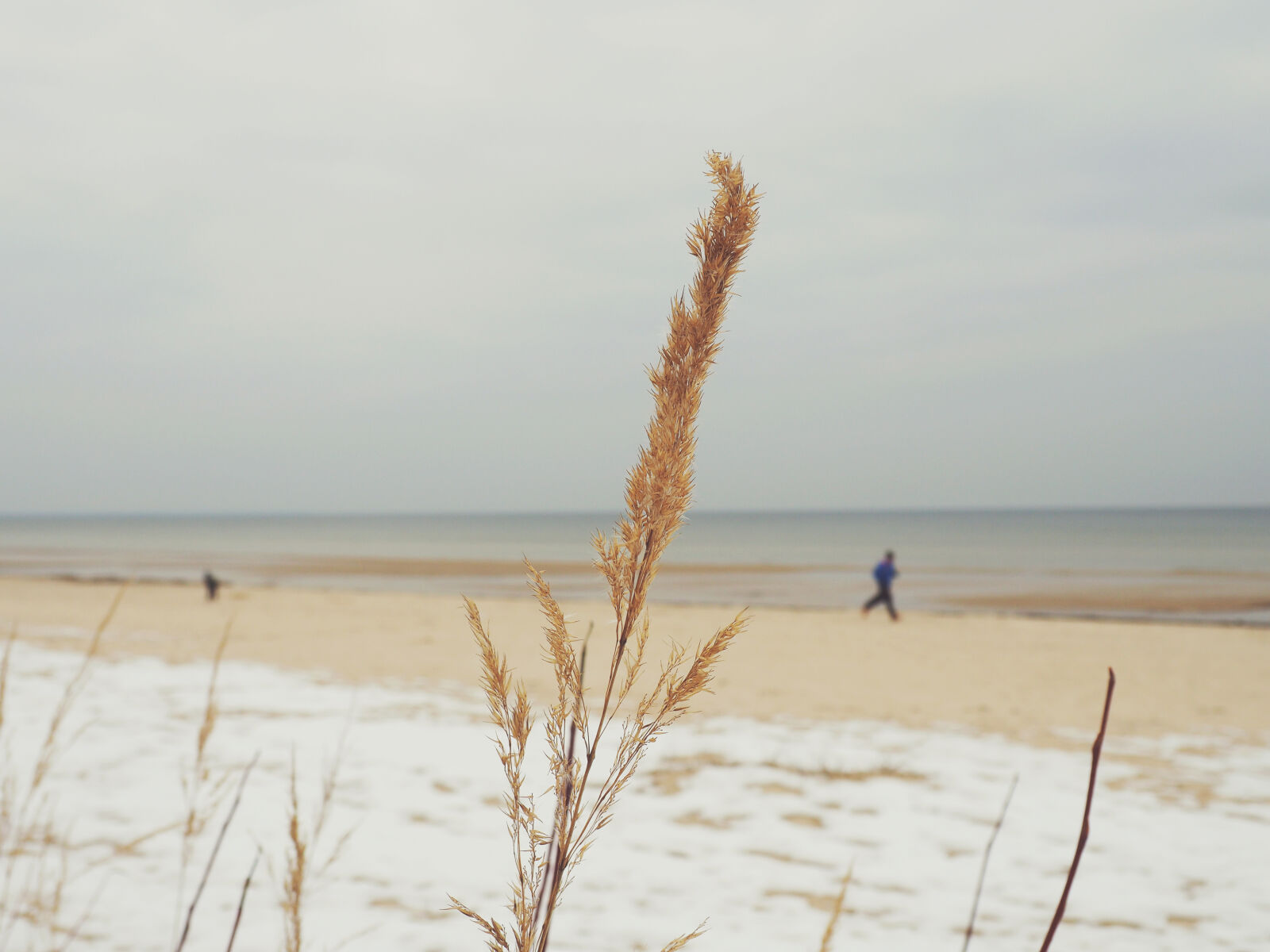 Olympus OM-D E-M10 II sample photo. Snow, sea, beach, sand photography