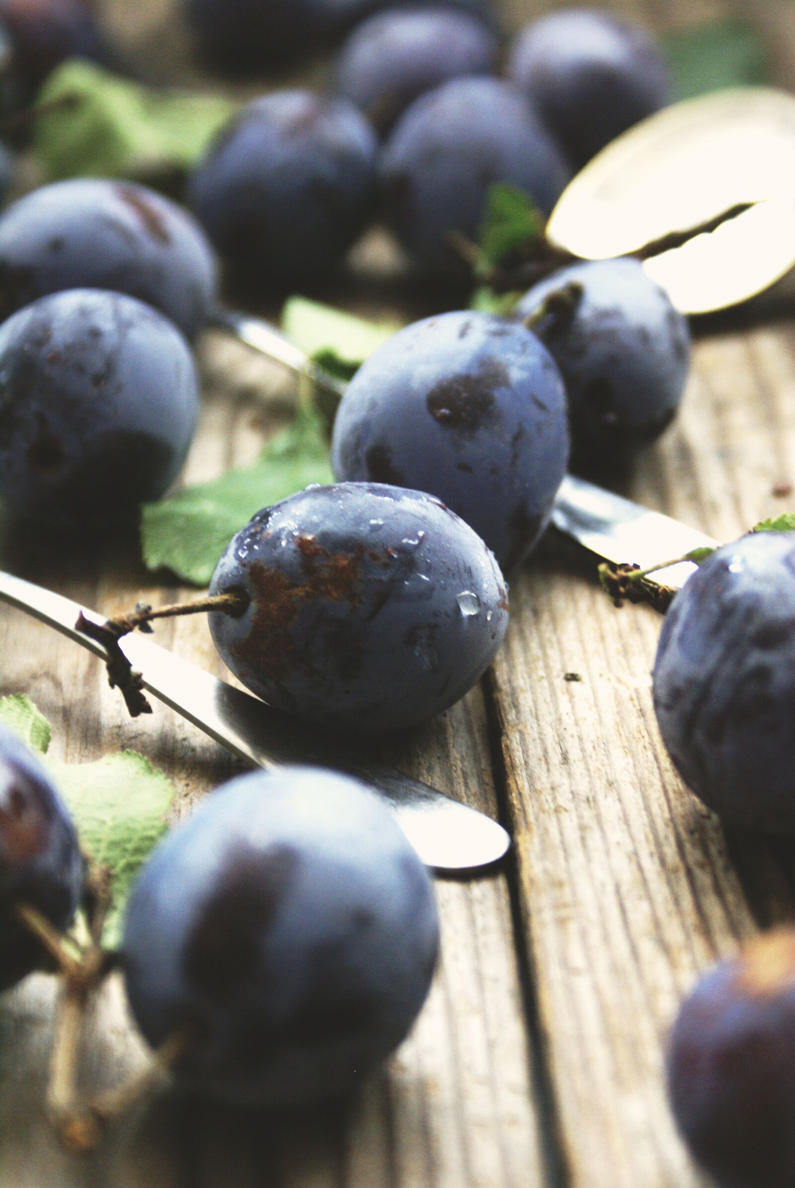 Sony Alpha DSLR-A100 sample photo. Plums, blue, fruits photography