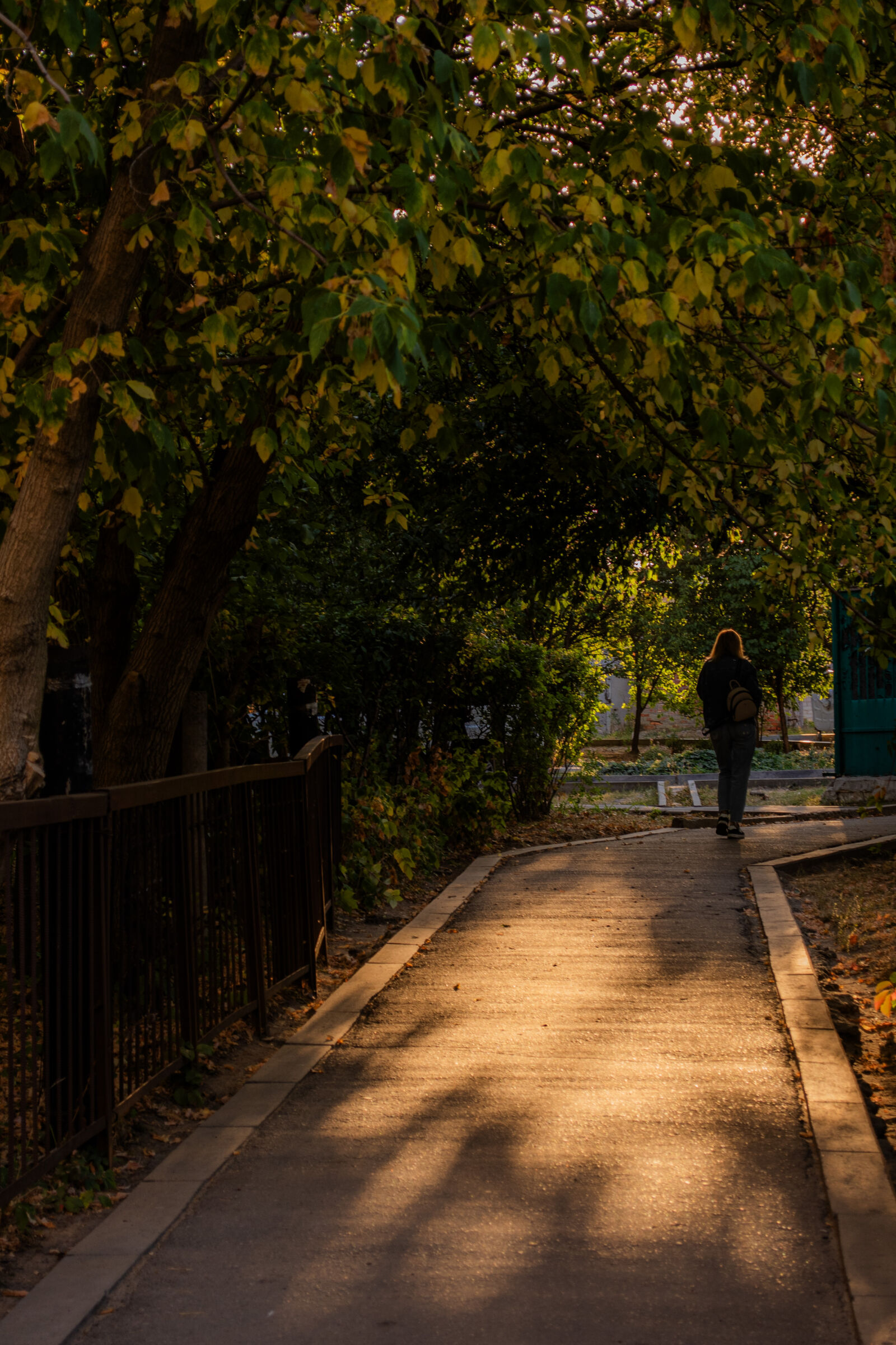 Nikon D750 sample photo
