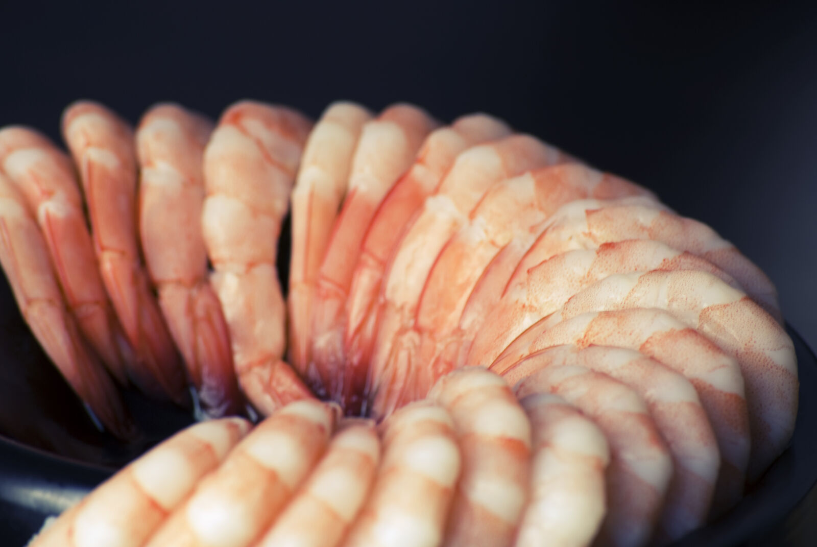 Nikon D60 sample photo. Food, shrimps photography