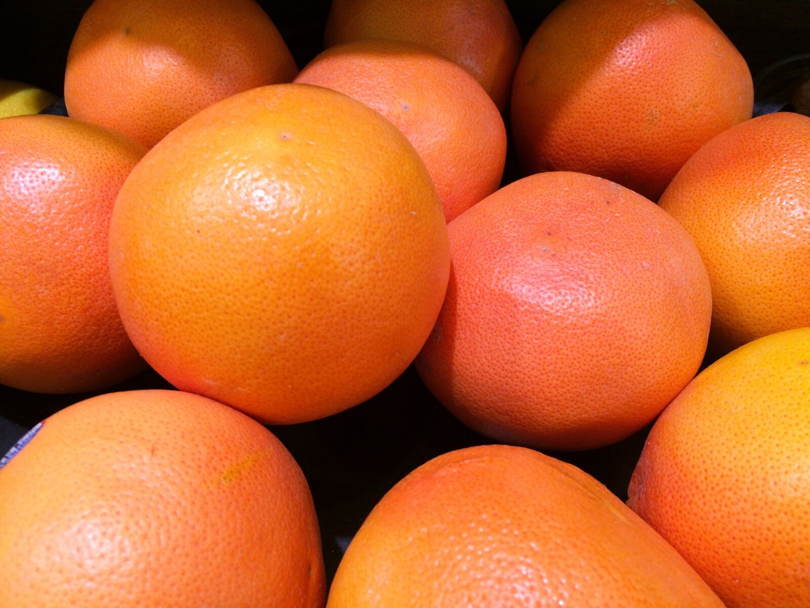 iPhone 5s back camera 4.15mm f/2.2 sample photo. Grapefruit, california production, fruit photography