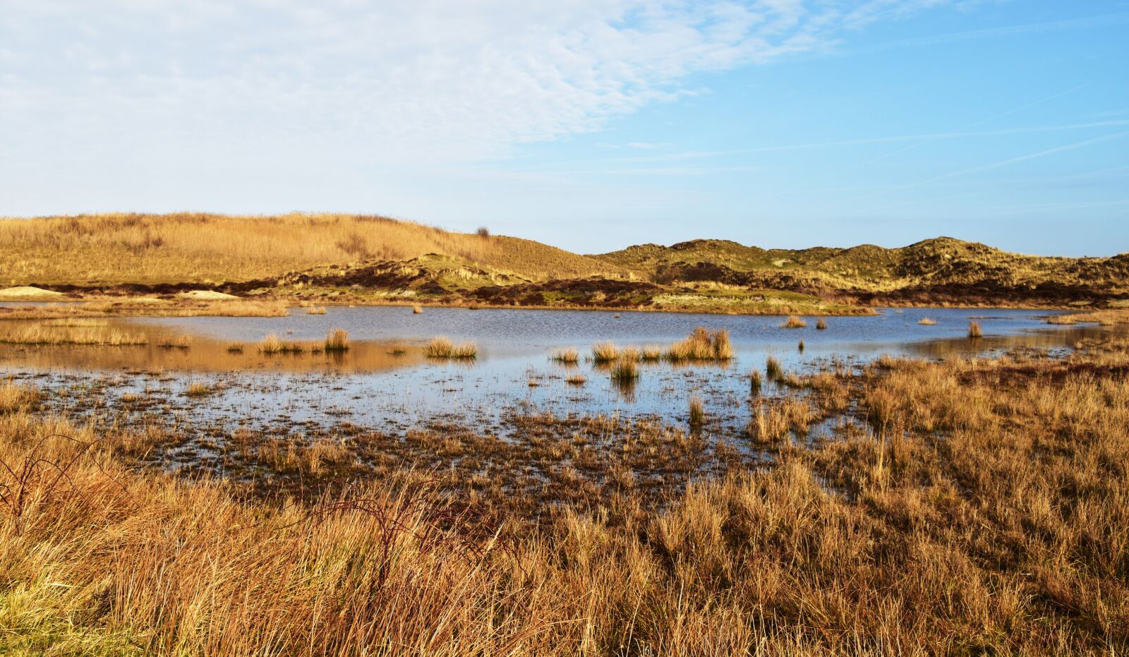Nikon D5500 sample photo. Lake, water, nature photography