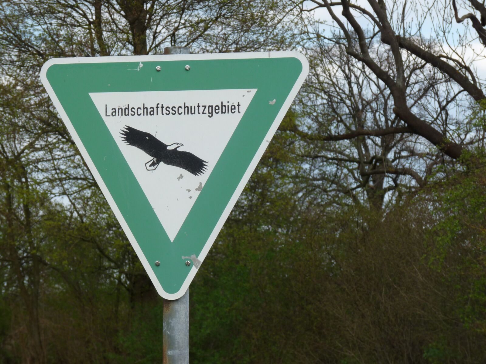 Panasonic Lumix DMC-FZ28 sample photo. Sign, safety zone, nature photography