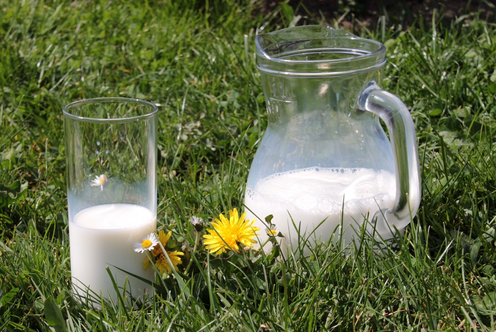 Canon EOS 650D (EOS Rebel T4i / EOS Kiss X6i) sample photo. Milk, glass, carafe photography
