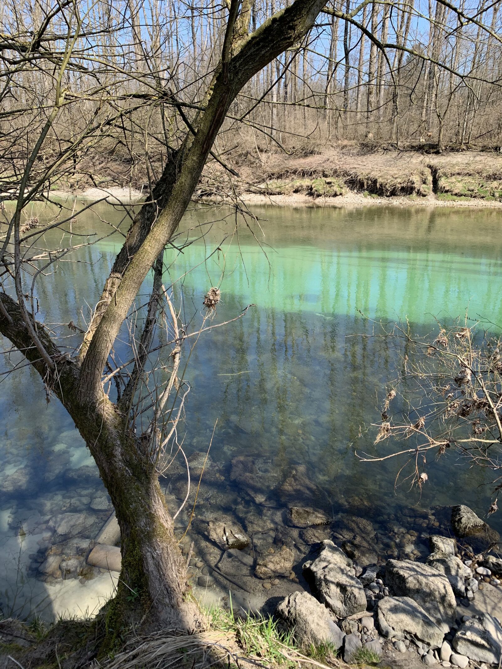 Apple iPhone XR sample photo. River landscape, spring, nature photography