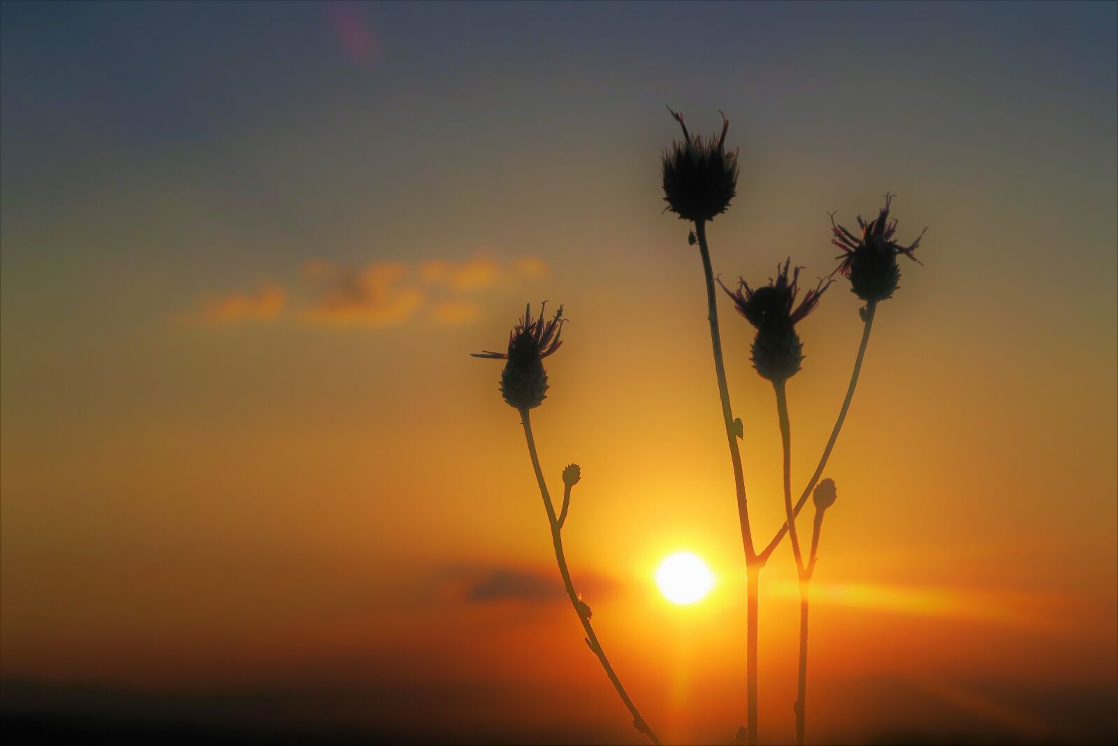 Canon PowerShot G7 X sample photo. Sunset, sky, in the photography