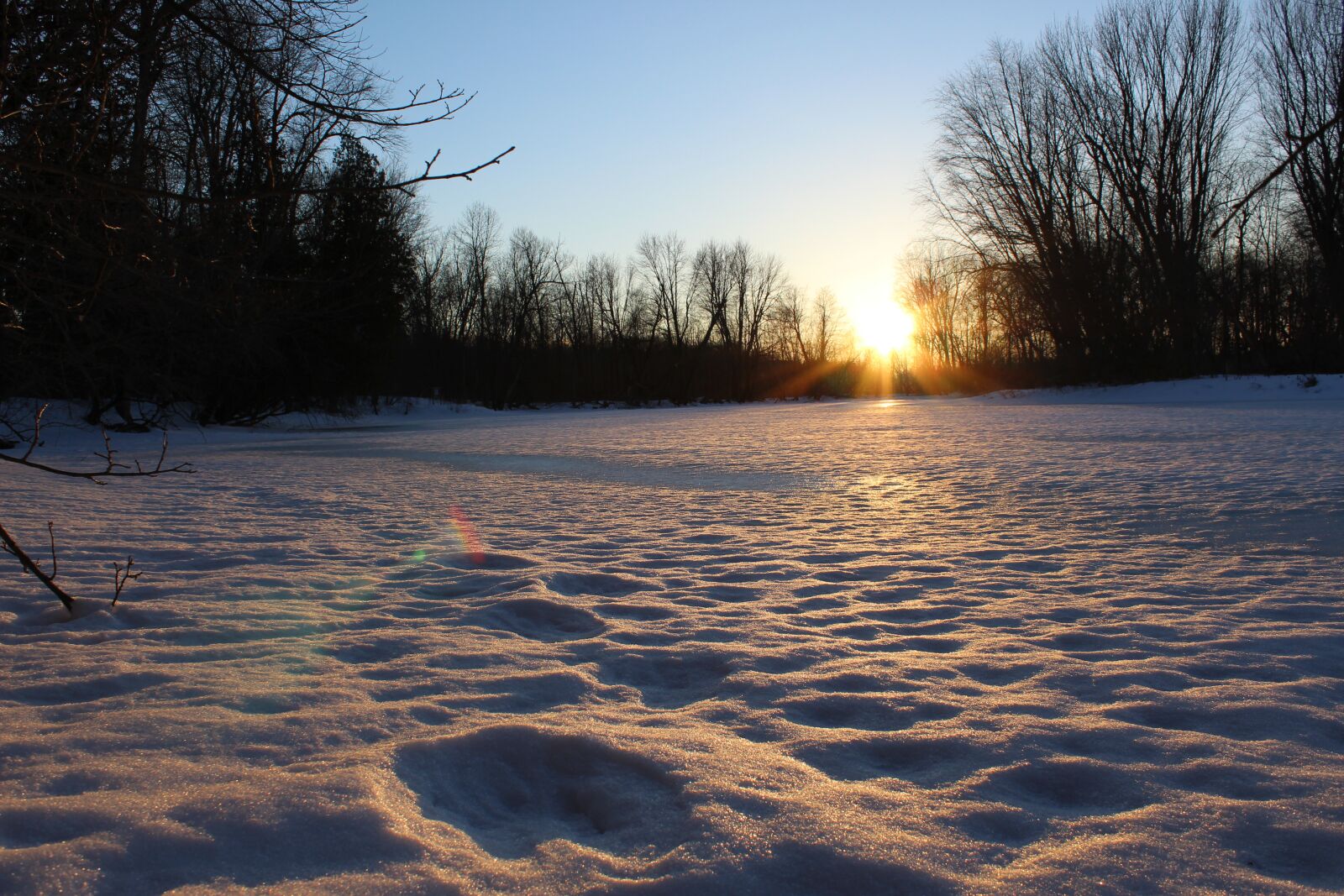 Canon EOS 1200D (EOS Rebel T5 / EOS Kiss X70 / EOS Hi) sample photo. Nature, winter, snow photography