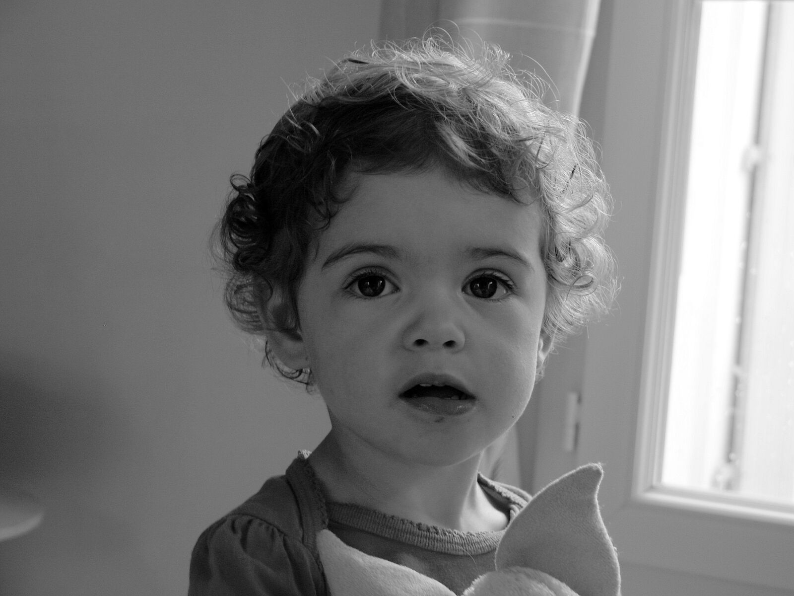 Nikon E5700 sample photo. Back, light, black, and photography