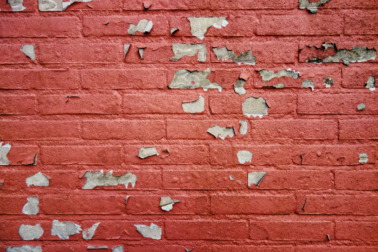 Sony Cyber-shot DSC-RX100 sample photo. Wall, brick wall, red photography