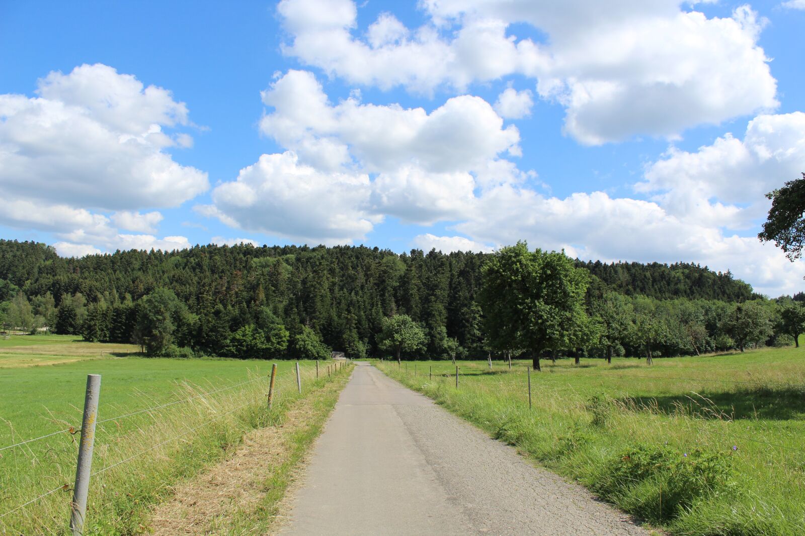Canon EOS 1300D (EOS Rebel T6 / EOS Kiss X80) sample photo. Landscape, away, nature photography