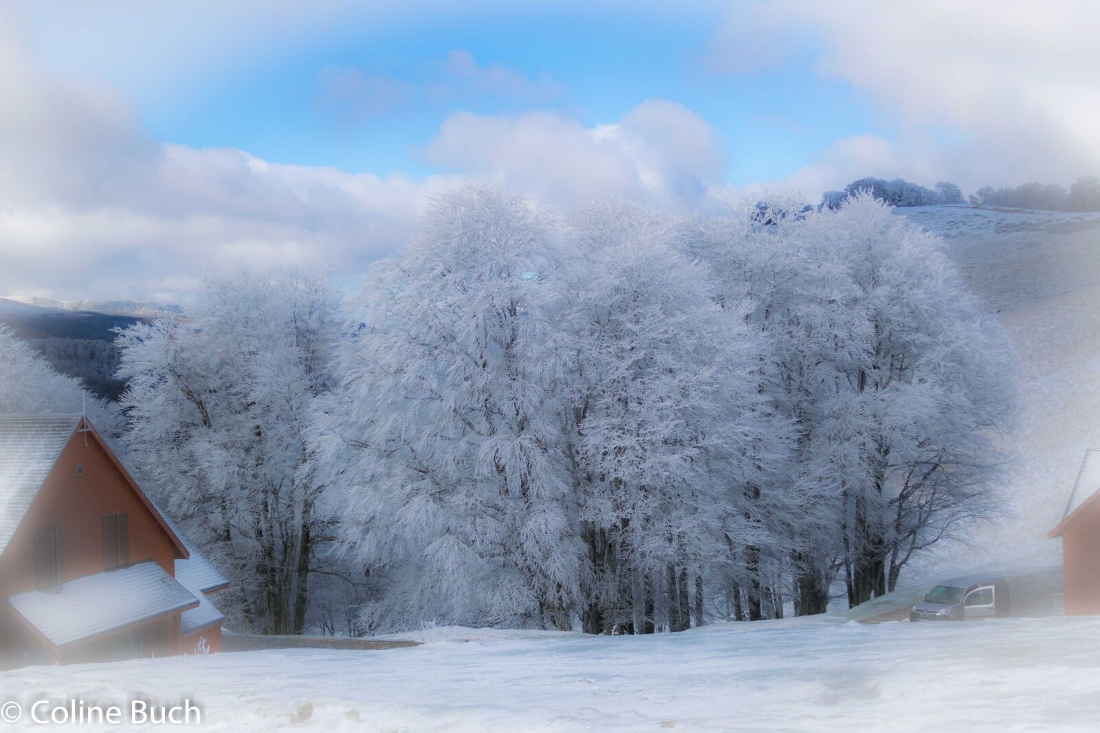 Nikon D3300 sample photo. Arbres, chalet, irati, chalets photography