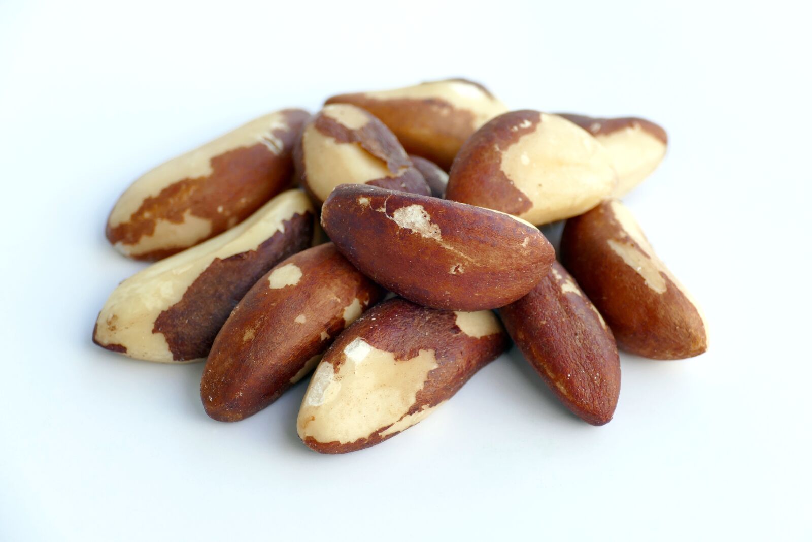 Panasonic Lumix DMC-FZ1000 sample photo. Brazil nut kernels, brazil photography
