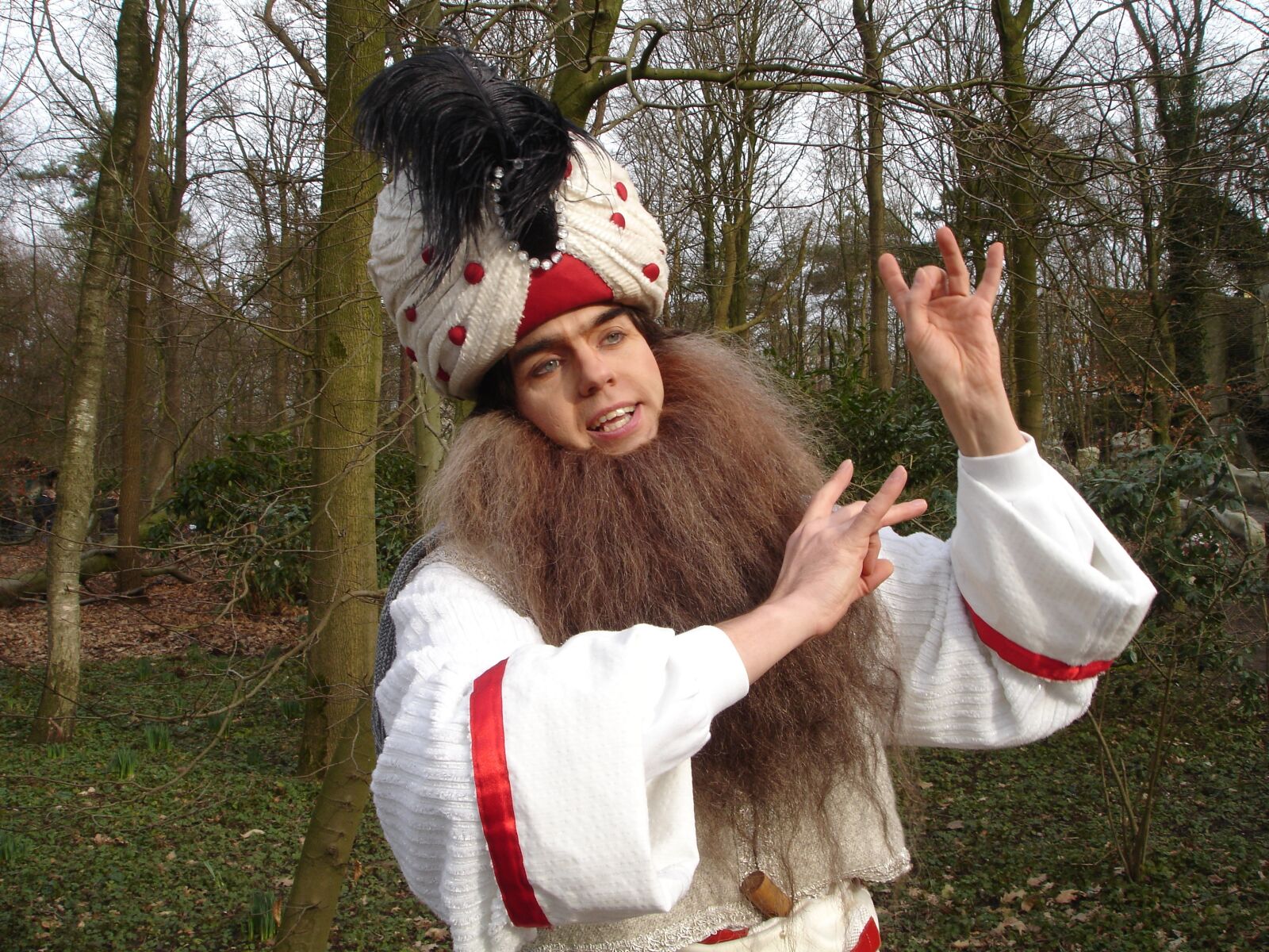 Sony DSC-P200 sample photo. Efteling, theme, fantasy photography