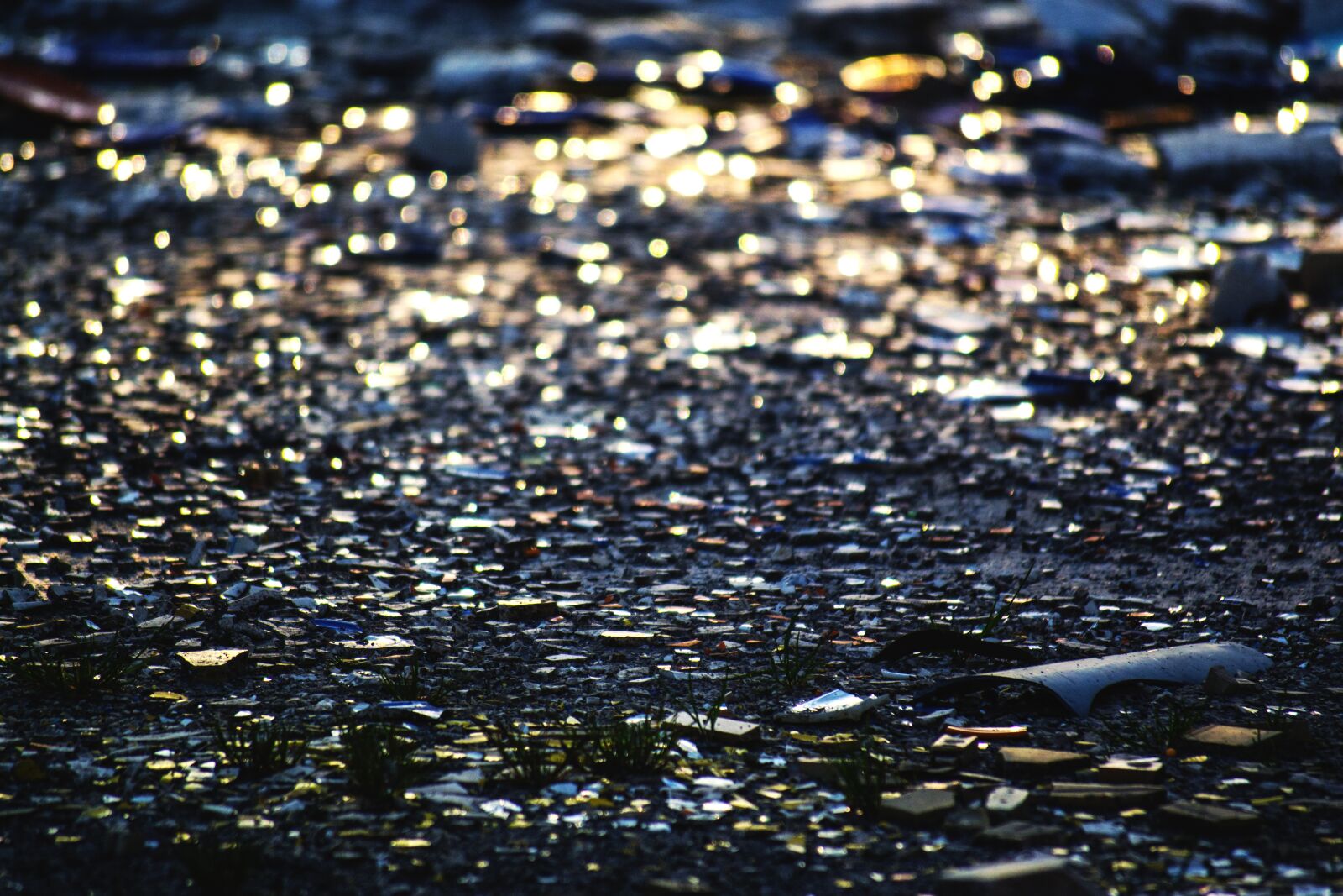 Nikon D3100 sample photo. Broken glass, pattern, sun photography