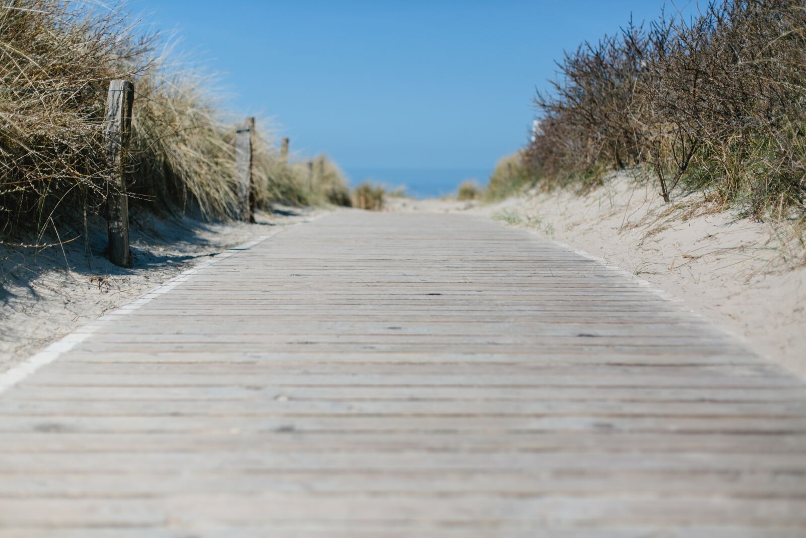 Canon EF 50mm F1.4 USM sample photo. North sea, coast, vacations photography