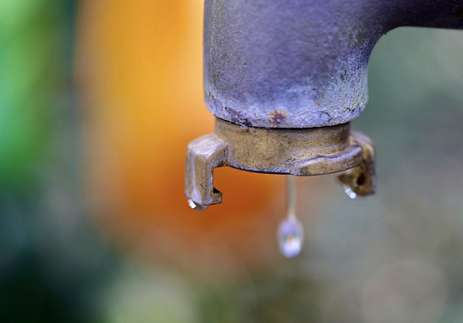 Nikon Z6 sample photo. Hydrant, fountain, water photography