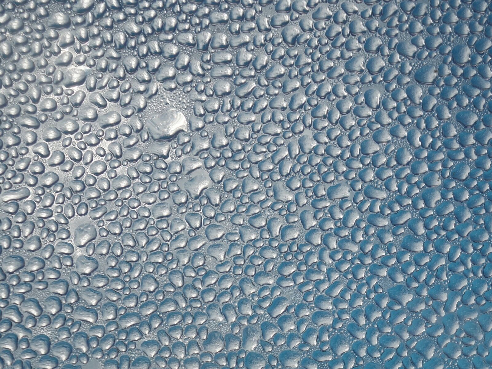Sony Cyber-shot DSC-RX100 II sample photo. Drop of water, condensation photography