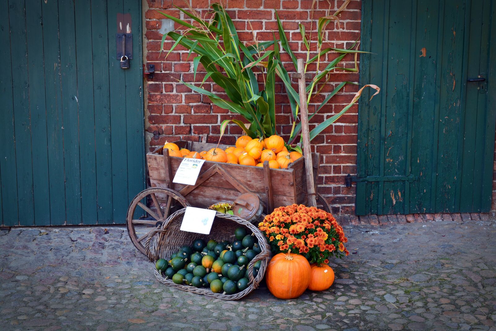 Nikon D5200 sample photo. Pumpkin, harvest time, sale photography