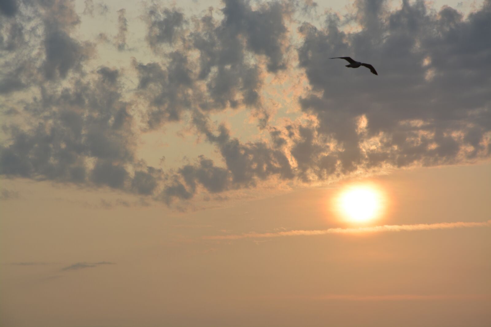 Nikon D5200 sample photo. Sunset, dark clouds, twilight photography