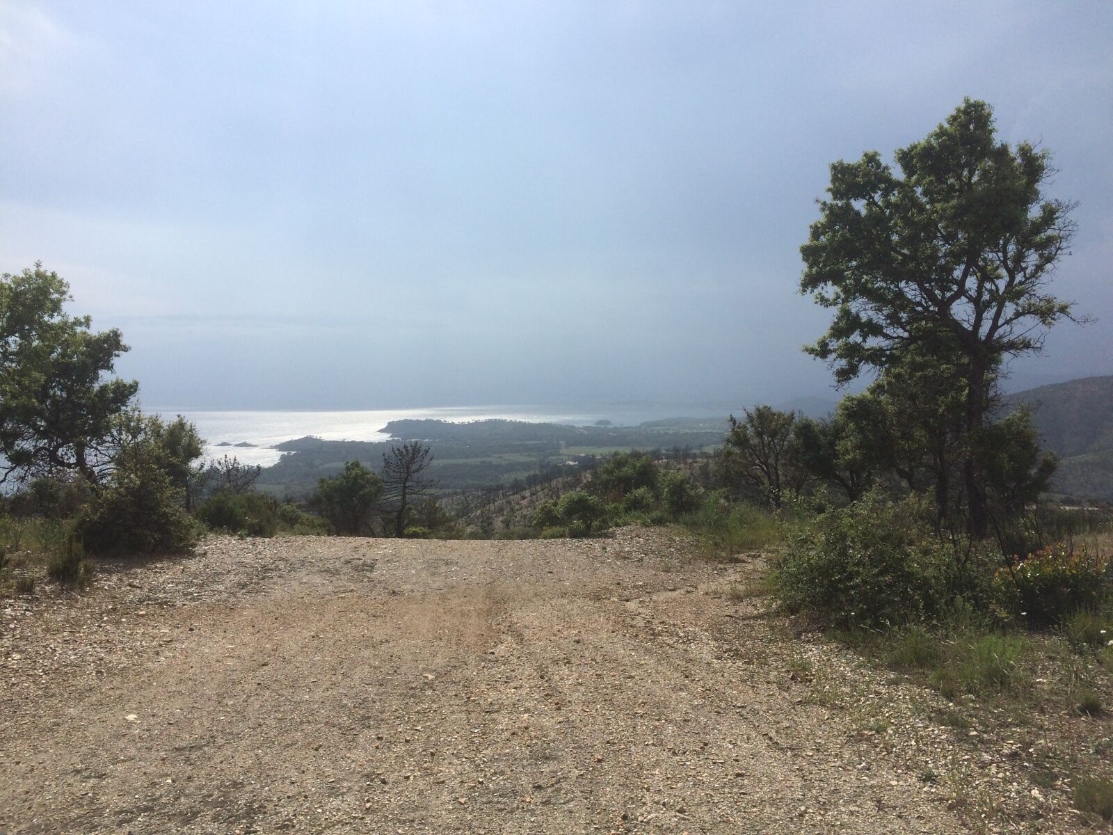 iPhone 5s back camera 4.15mm f/2.2 sample photo. Path, nature, promenade photography