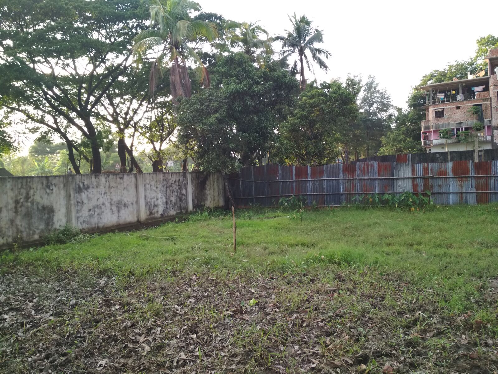 Xiaomi Redmi 4X sample photo