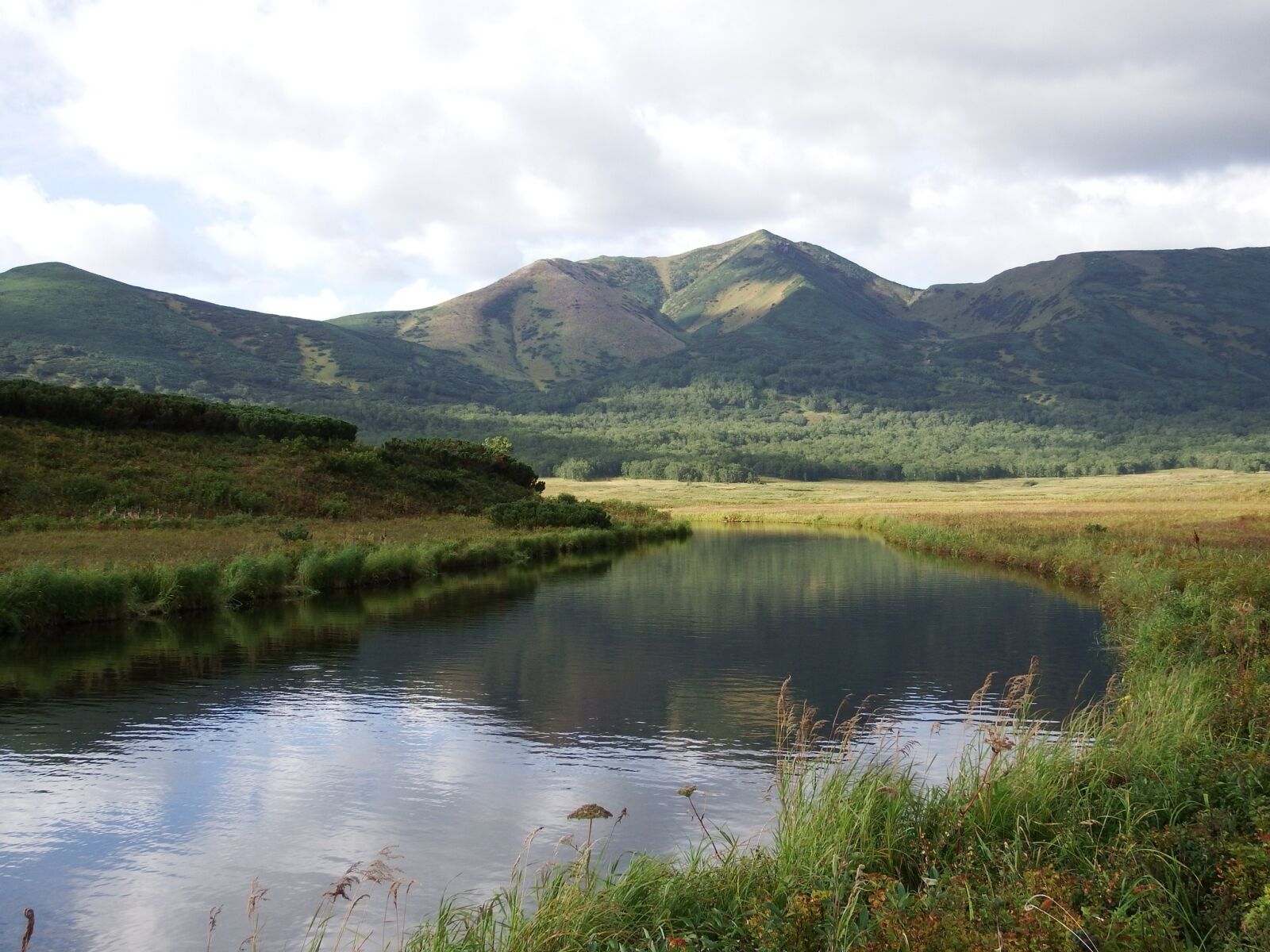 Fujifilm FinePix S1 sample photo. Lake, mountains, forest photography
