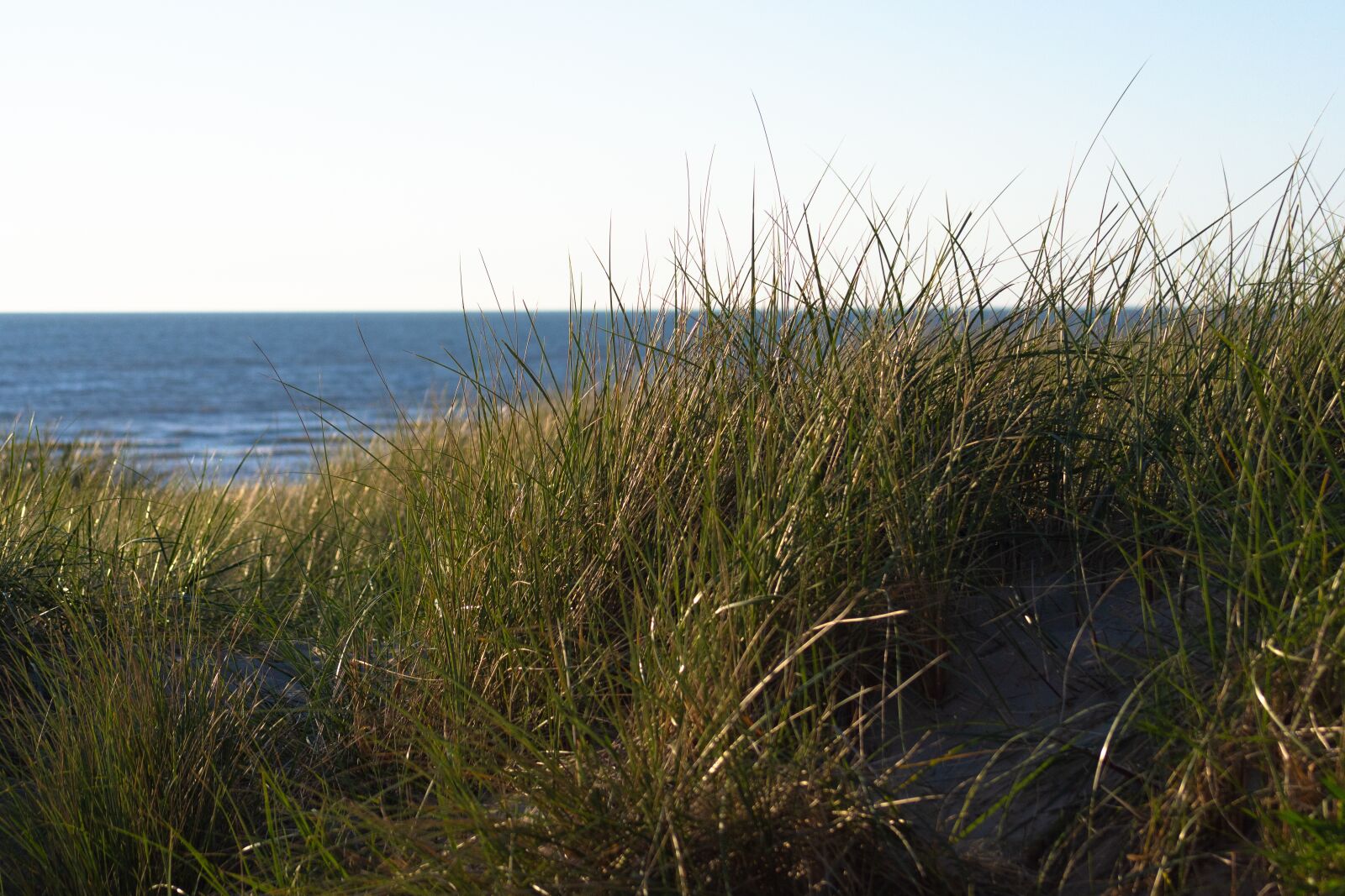 Nikon D5200 sample photo. Beach, sea, holiday photography