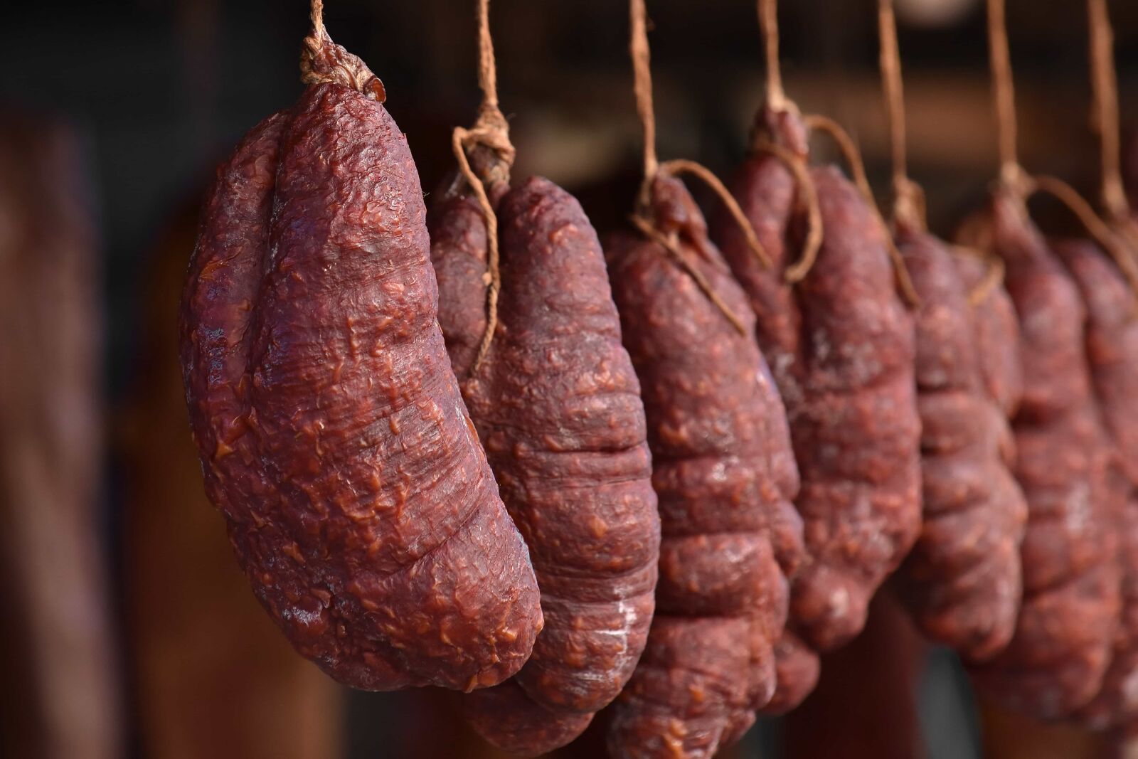 Nikon D5500 sample photo. Cholesterol, hanging, homemade, meat photography