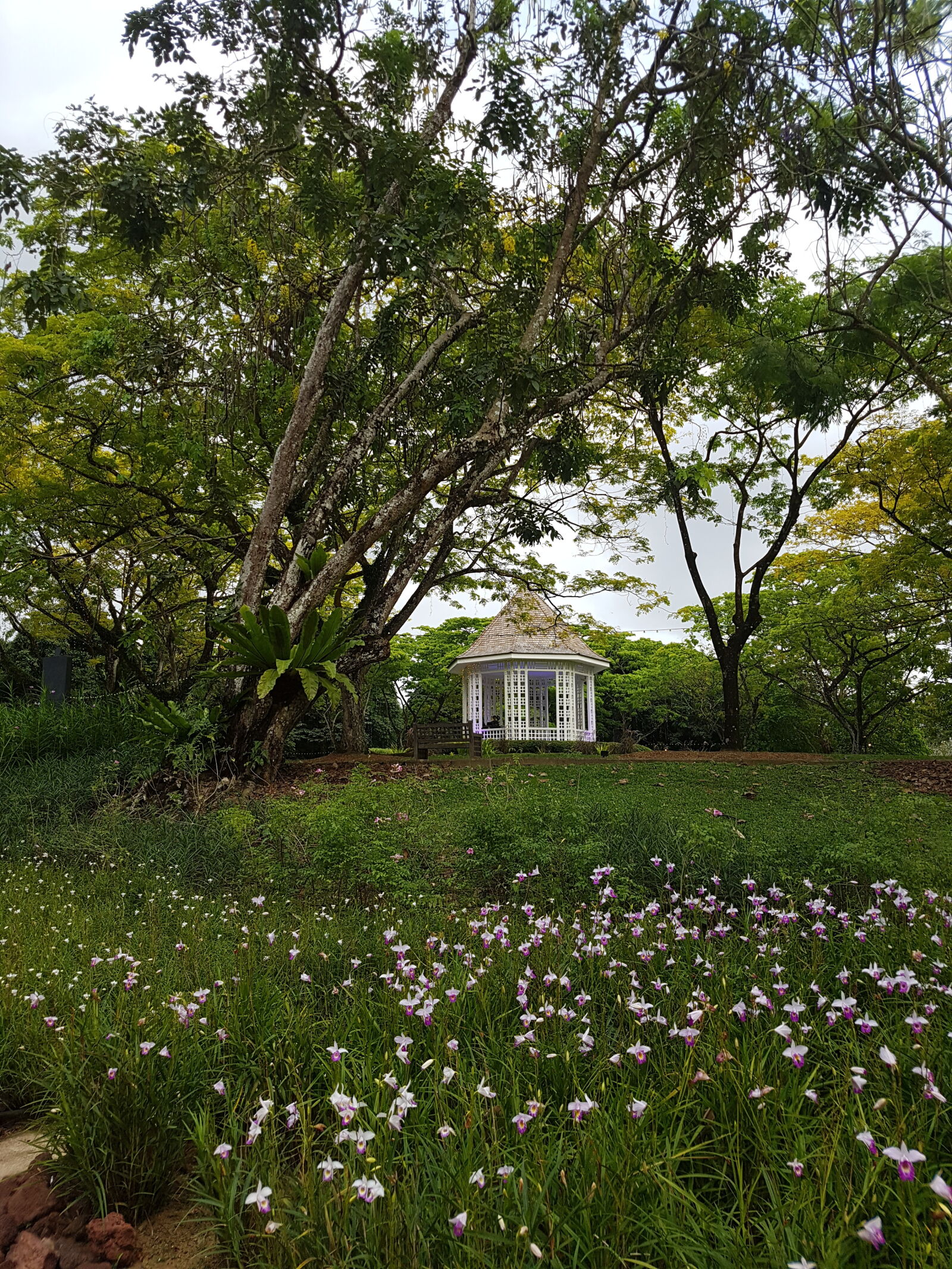 Samsung Galaxy S7 sample photo. Gardens, beauty, joyfulheart photography