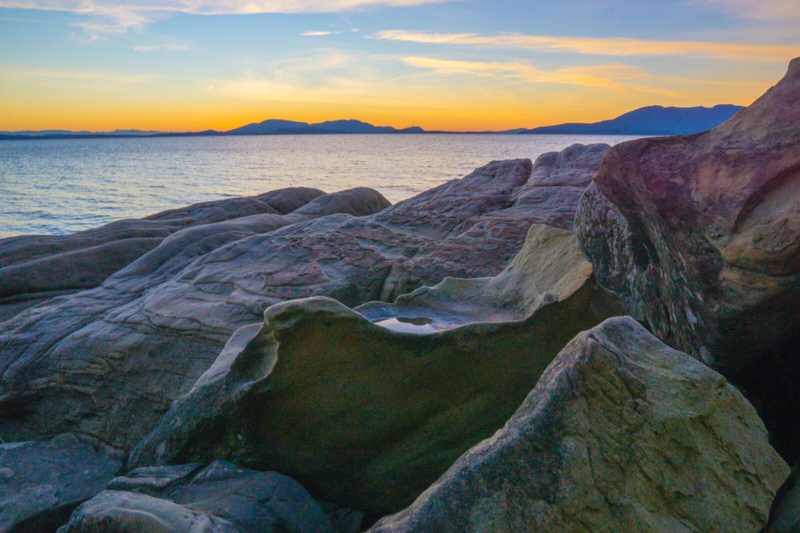 Sigma 16mm F1.4 DC DN | C sample photo. Larrabee, state, park photography