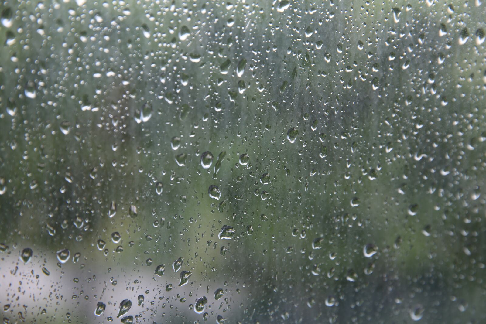 Canon EF 24-70mm F2.8L II USM sample photo. Rain beads, glass, rain photography