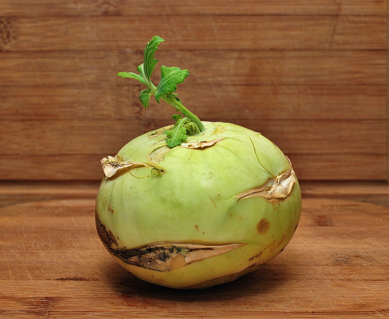 Nikon D80 sample photo. Turnip, a vegetable, closeup photography