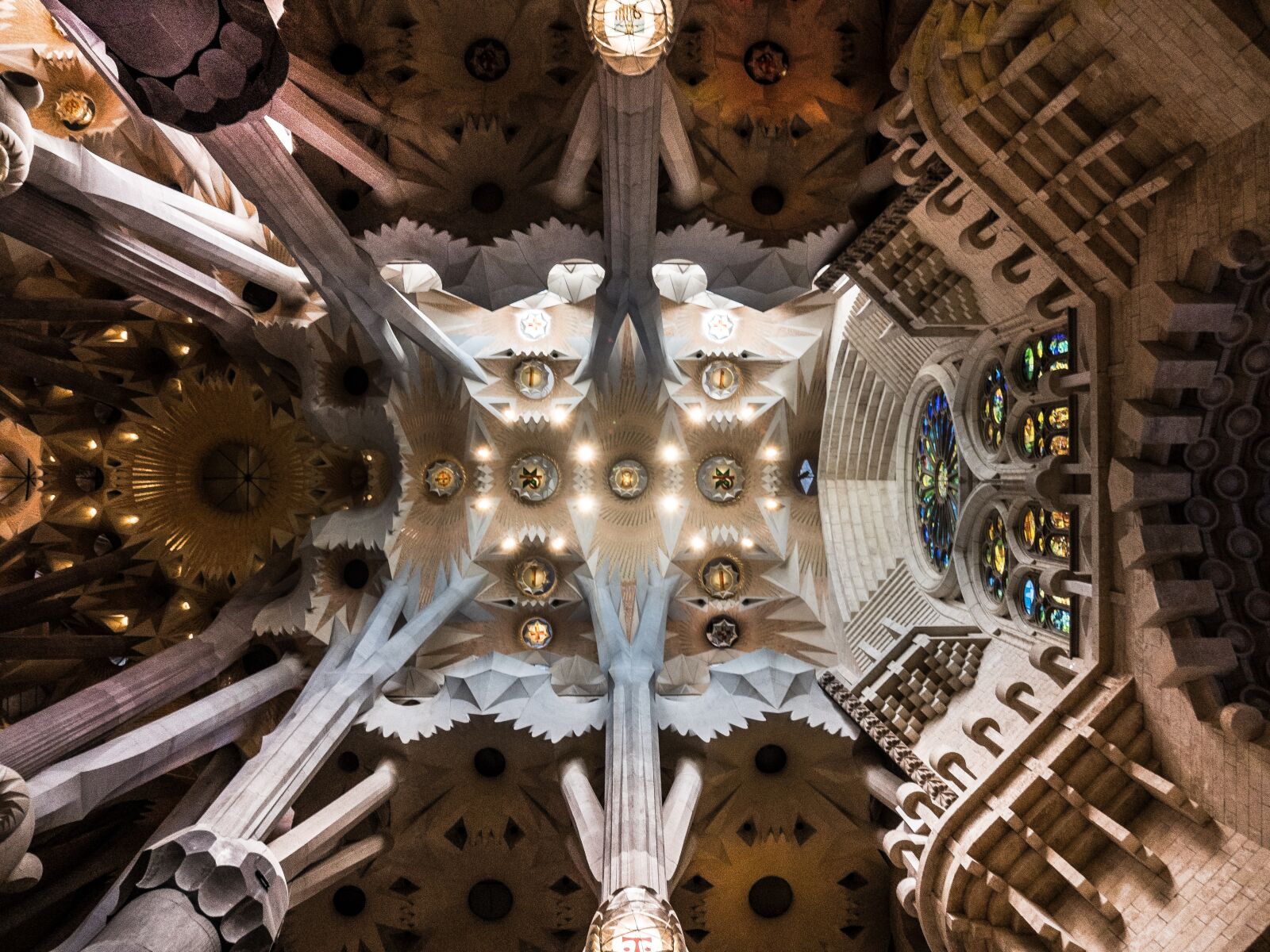 Olympus OM-D E-M5 II sample photo. Ceiling, cathedral, sagrada fam photography