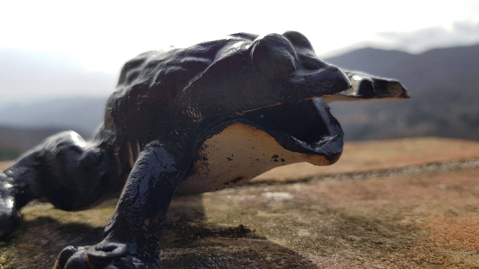 Samsung Galaxy S8 sample photo. Statue, frog, sculpture photography