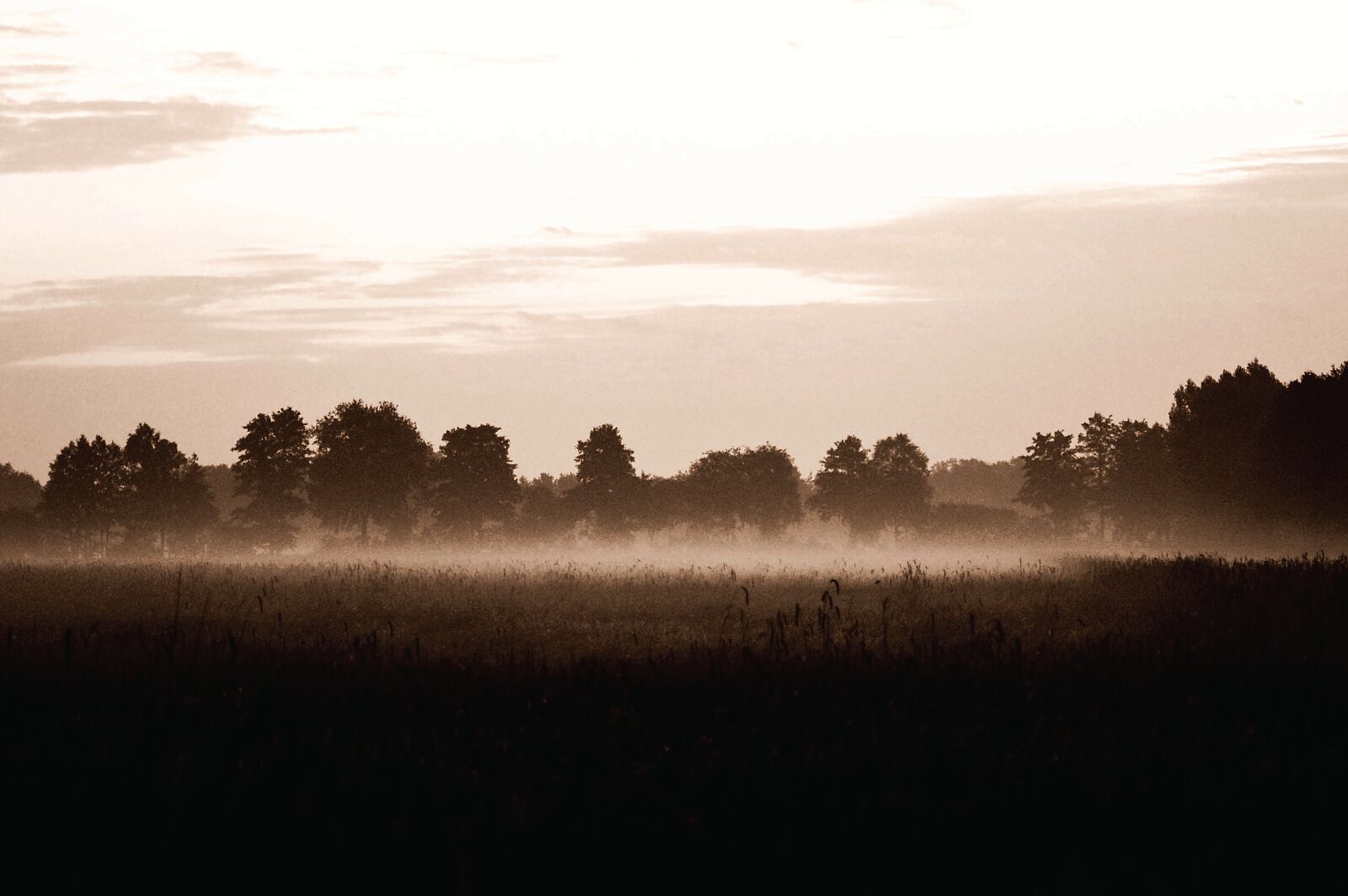 Nikon D3200 sample photo. Fog, abendstimmung, evening photography